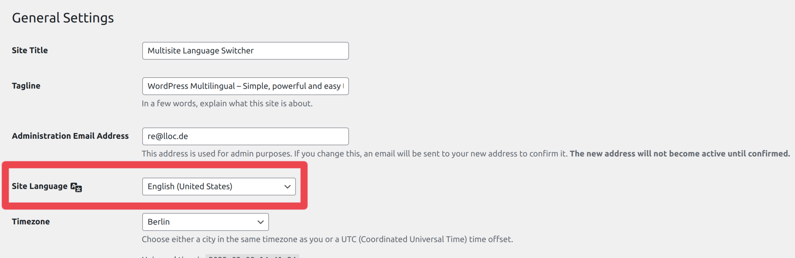 Plugin configuration - Multisite Language Switcher